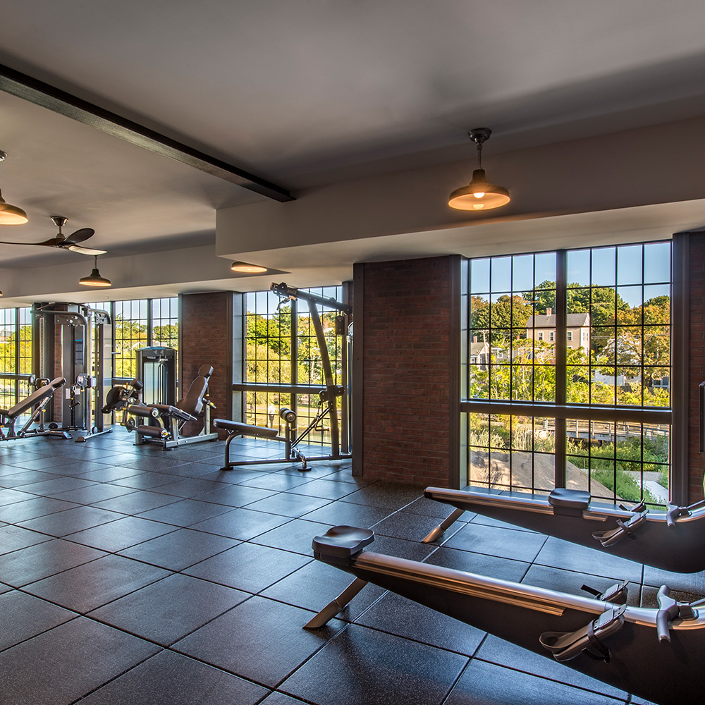 New gym equipment including rowing machines in front of floor to ceiling windows